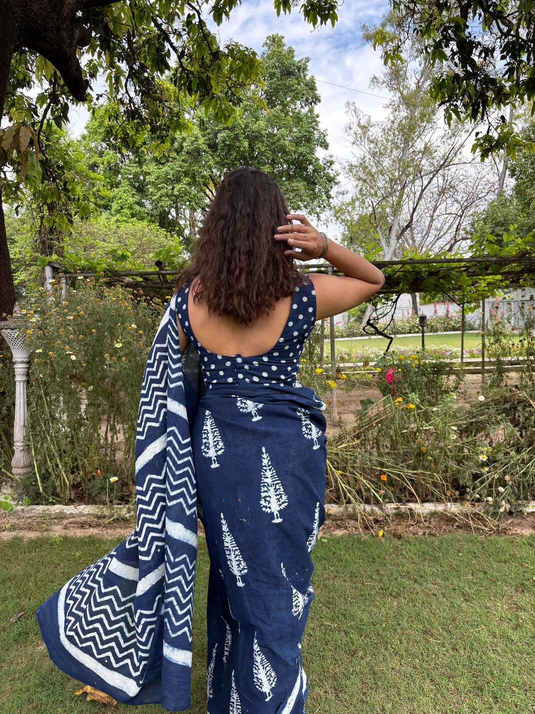 Ambarsariya  Cotton Saree